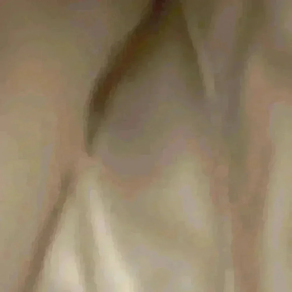 👜👛 NWOT Coach Penelope Optic Metallic Gold Signature F18478 Cream and Tan - Picture 10 of 10